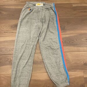 Aviator Nation Gray Joggers with Colorful Stripes